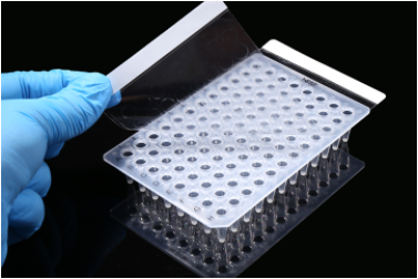 Regular PCR sealing film, Transparent, Adhesive, 146x81mm