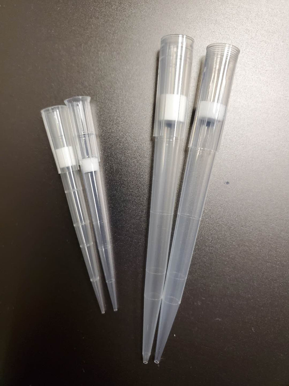 Filtered Sterile pipette Tips, 200ul, Sterile, Clear, 960 tips