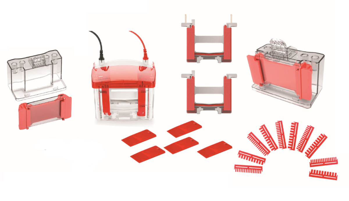 Mini Modular Dual Vertical Protein Tank, Gel Electroforese Cell