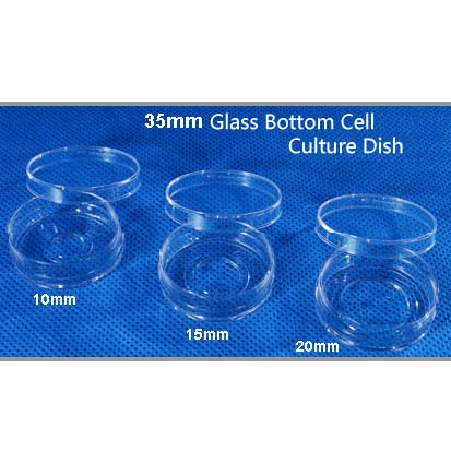 35 mm Glass Bottom Cell Culture Dish, 15mm 